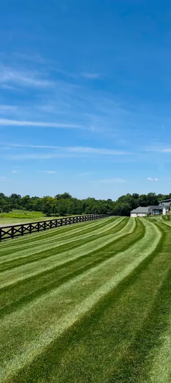 Image Content Frame Large 1